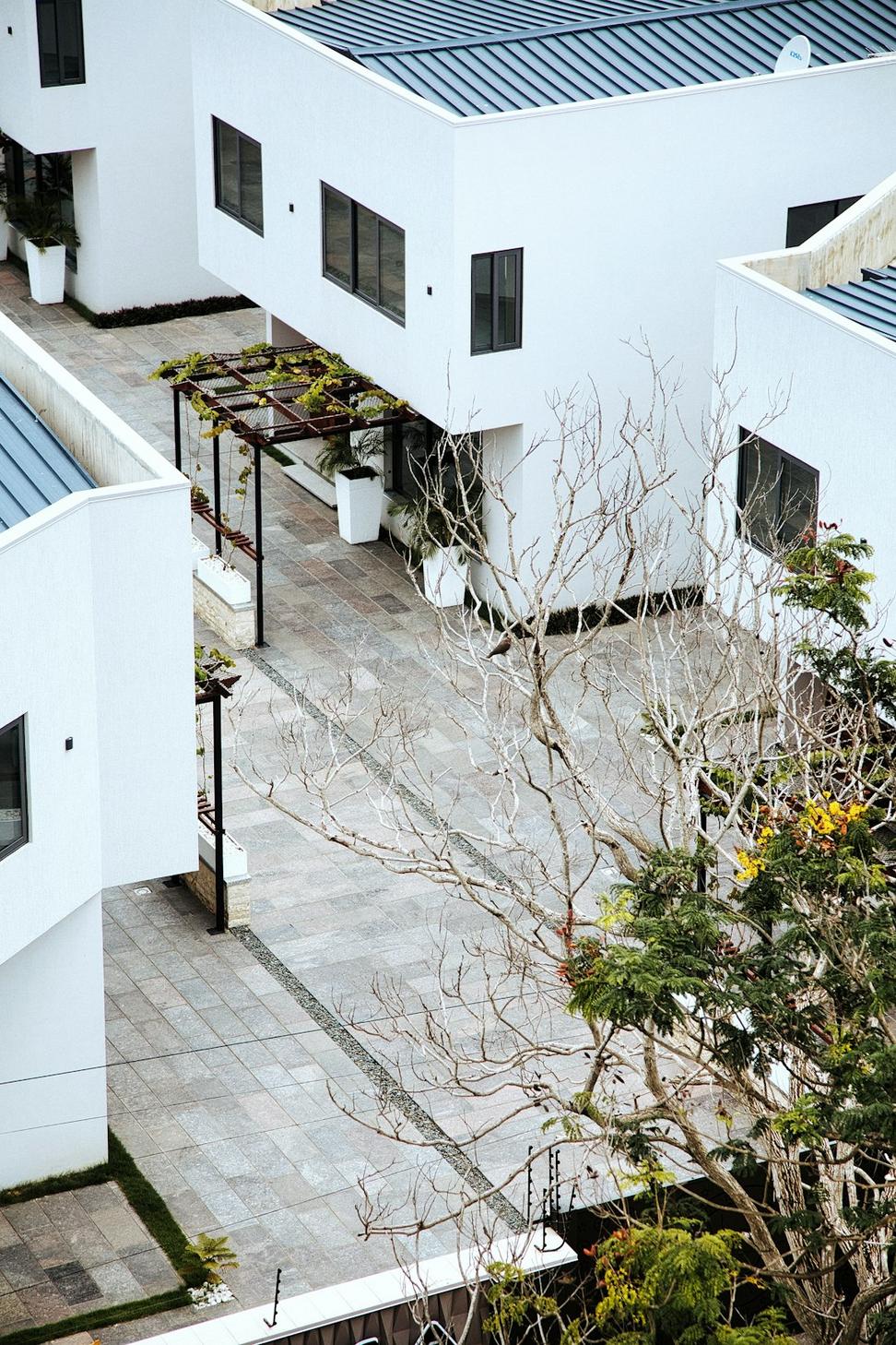 Urban Rooftop Oasis